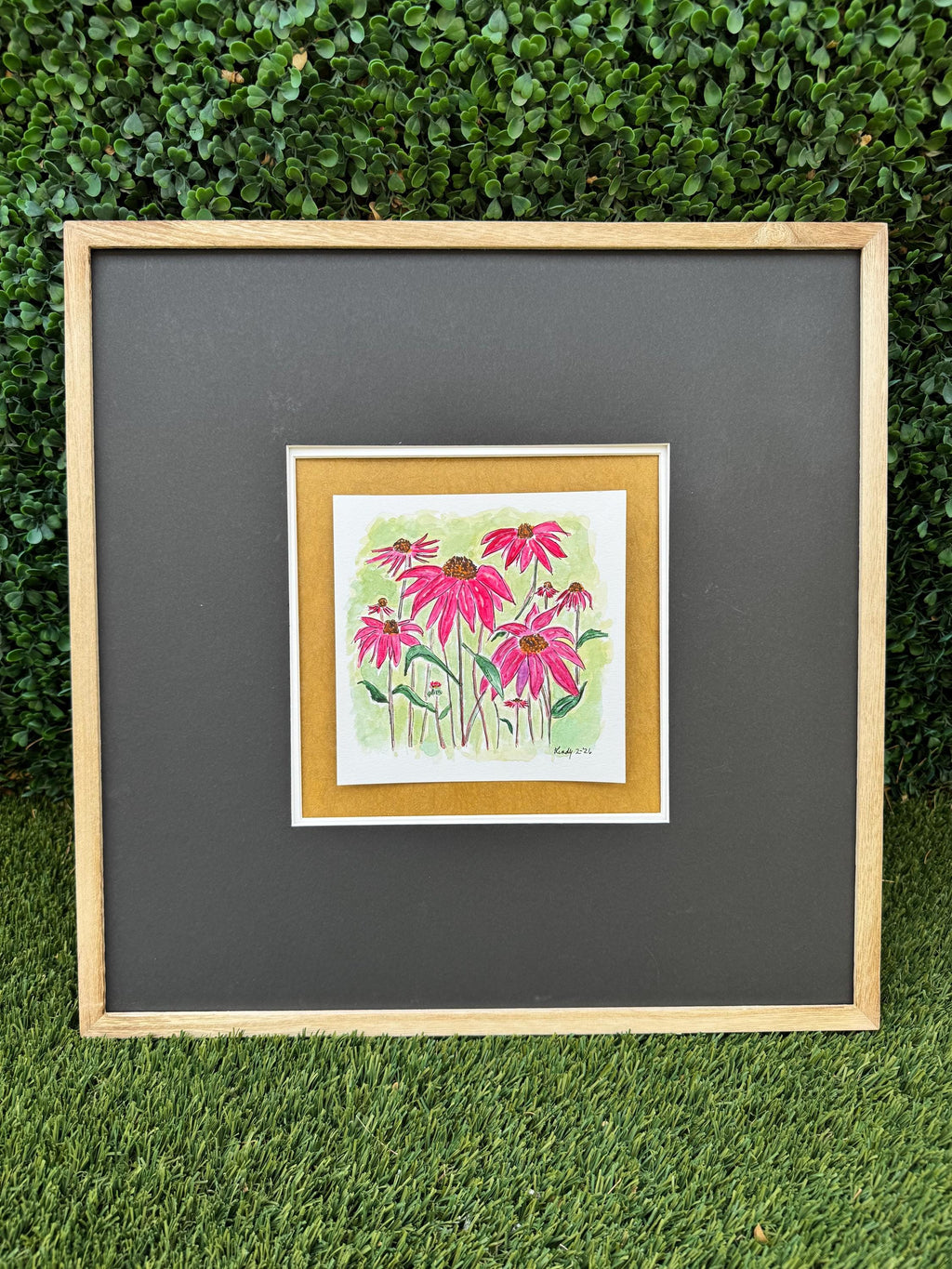 Original watercolor of pink coneflowers
