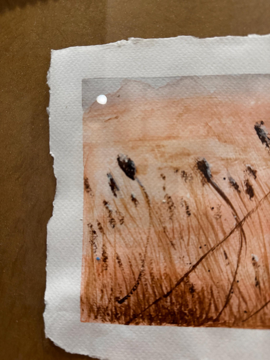 Cattails in the wind