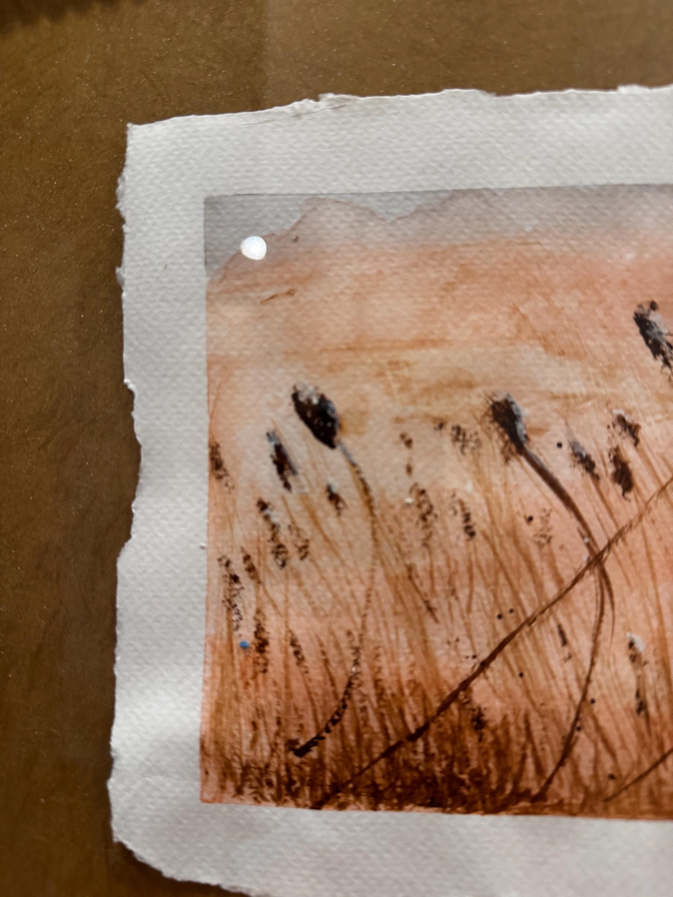 Cattails in the wind