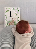 Set of 12 custom watercolor baby milestone cards. One per month.