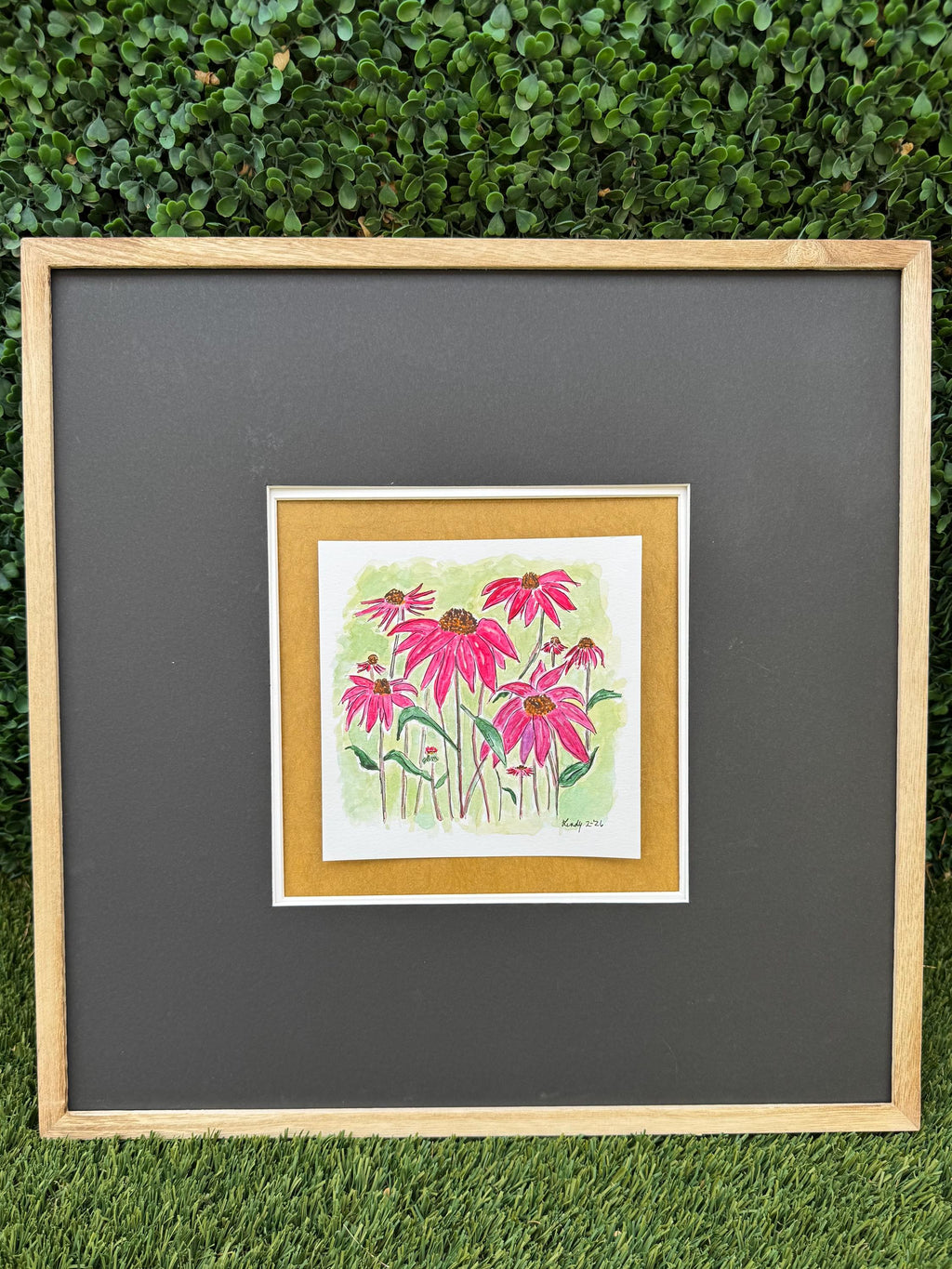 Original watercolor of pink coneflowers
